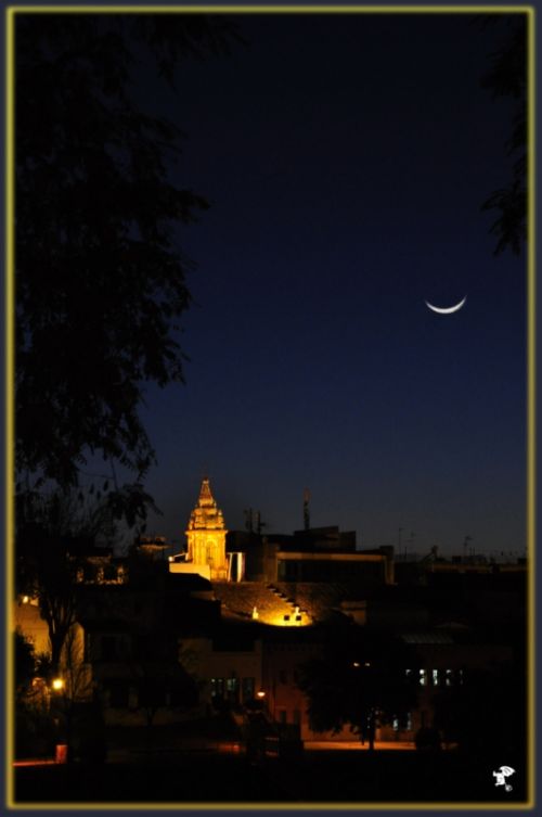 Fotografia de Gargoile - Galeria Fotografica: De mi coleccion - Foto: www.horaciopaez.tk