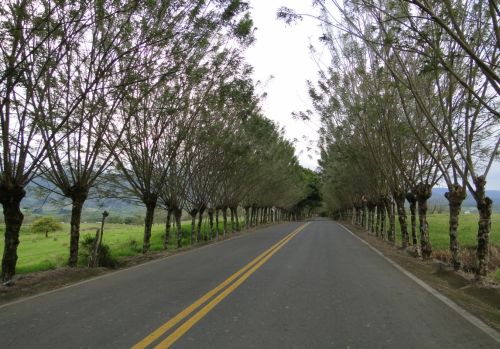 Fotografia de juan garcia - Galeria Fotografica: mi tierra - Foto: 