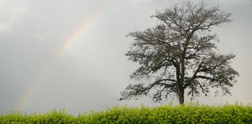 Fotografia de juan garcia - Galeria Fotografica: mi tierra - Foto: despues de la tormenta