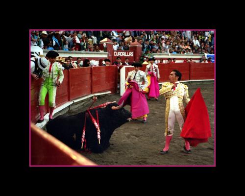 Fotografia de J. Armando Gmez Aguilar-DIGICOLOR - Galeria Fotografica: fiesta brava - Foto: matador
