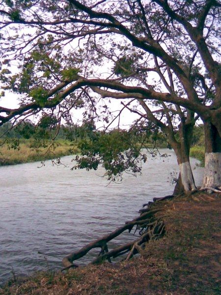 Fotografia de YOSHY - Galeria Fotografica: PAISAJES   Y  NATURALEZA - Foto: PAISAJE