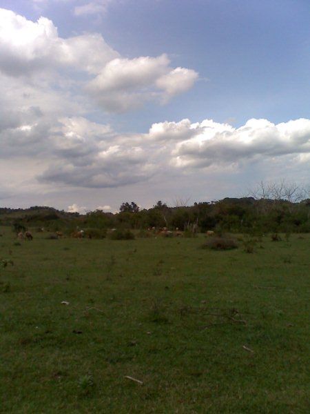 Fotografia de YOSHY - Galeria Fotografica: PAISAJES   Y  NATURALEZA - Foto: PAISAJE LOC. LA PIMIENTA