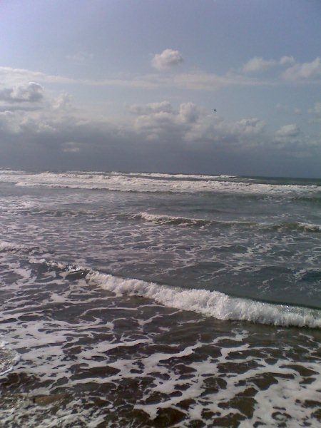 Fotografia de YOSHY - Galeria Fotografica: PAISAJES   Y  NATURALEZA - Foto: TUXPAN