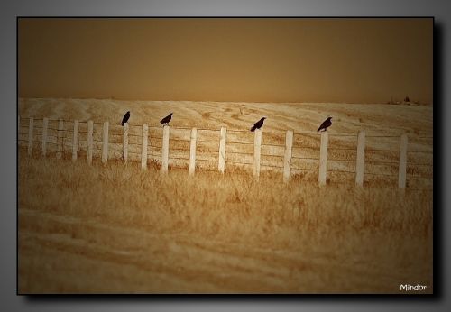 Fotografia de Mindor - Galeria Fotografica: fases - Foto: 