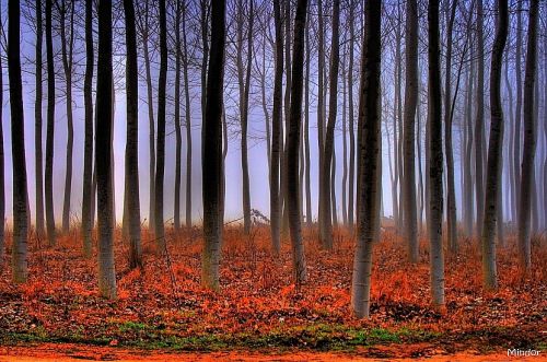 Fotografia de Mindor - Galeria Fotografica: fases - Foto: 