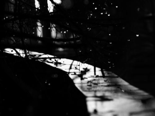 Fotografia de mirakingat - Galeria Fotografica: Mostra - Foto: light ways