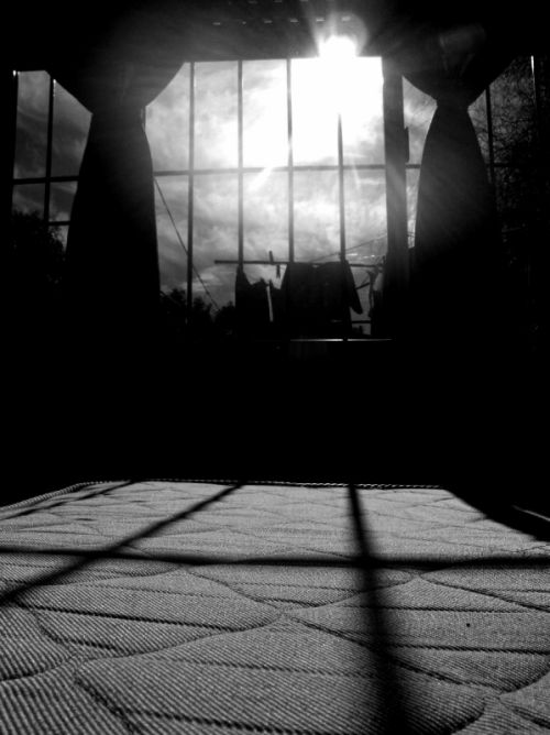 Fotografia de nesdany - Galeria Fotografica: LA REVANCH - Foto: ventana 