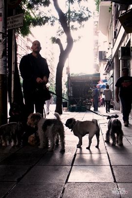 Fotografia de Fonsi M - Galeria Fotografica: Mas y Mas - Foto: The  Walker