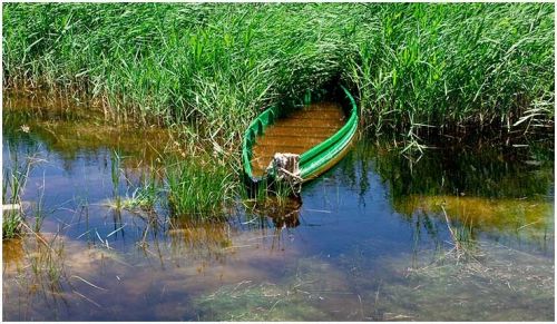 Fotografia de imprenta flores, s.l. - Galeria Fotografica: fotografa manchega - Foto: Parque Natural Las Tablas de Daimie