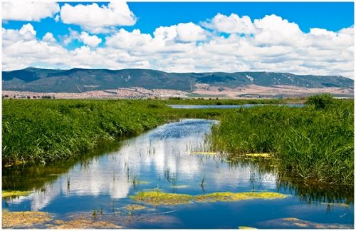Fotografia de imprenta flores, s.l. - Galeria Fotografica: fotografa manchega - Foto: Parque Natural Las Tablas de Daimie