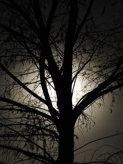 Fotografia de Rodrigo Violante - Galeria Fotografica: Portafolio - Foto: 