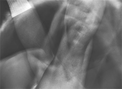 Fotografia de Rodrigo Violante - Galeria Fotografica: Portafolio - Foto: 