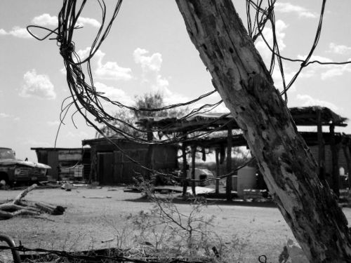 Fotografia de Guillermo Castillo Ramrez - Galeria Fotografica: Huellas en el desierto, el rastro de los O`odham - Foto: 