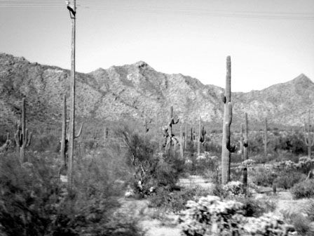 Fotografia de Guillermo Castillo Ramrez - Galeria Fotografica: Huellas en el desierto, el rastro de los O`odham - Foto: 