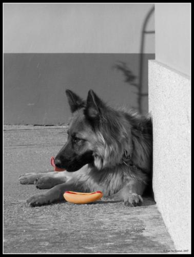 Fotografia de Xan Xe Corral - Galeria Fotografica: Entorno natural - Foto: Duba