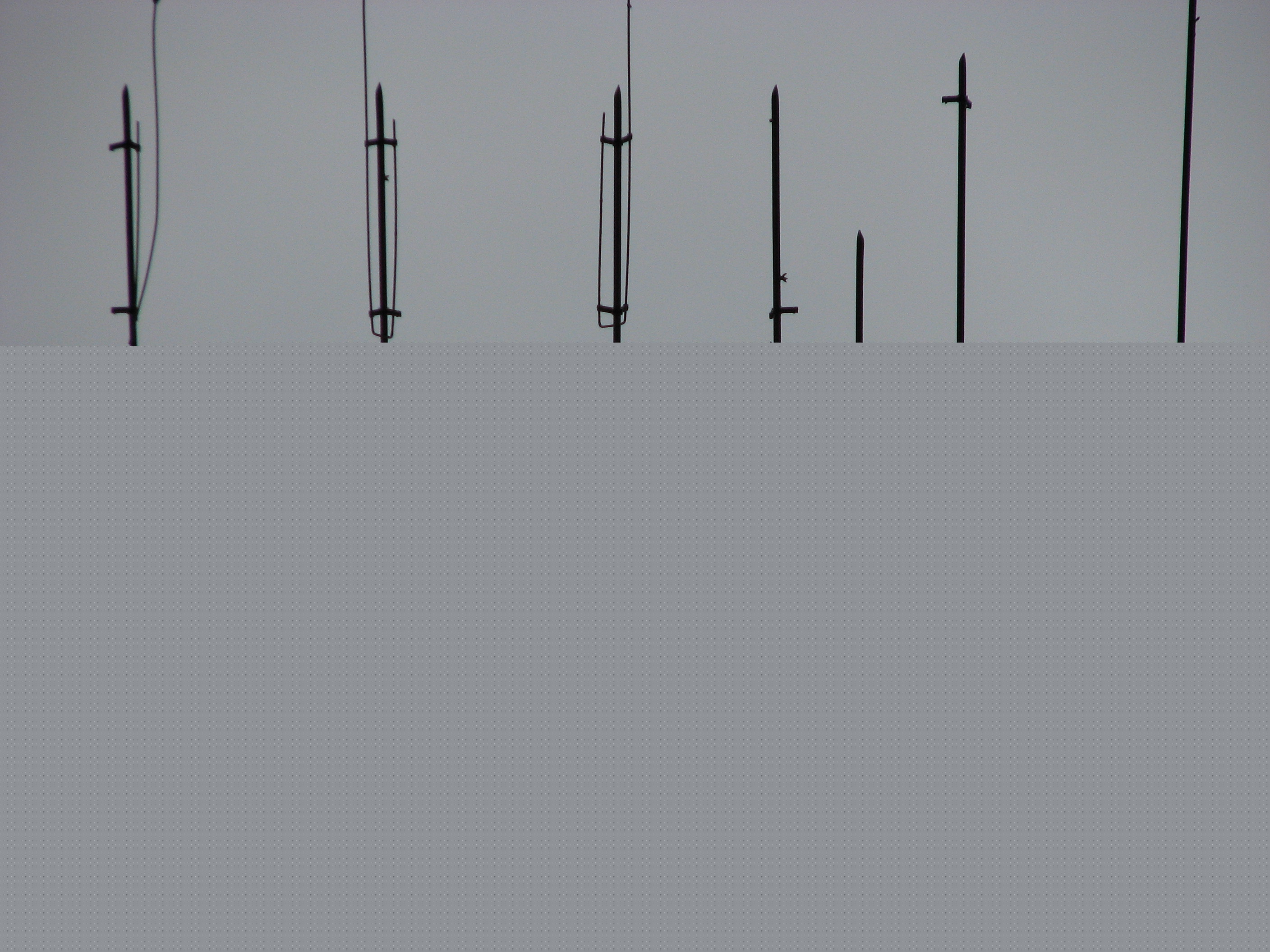 Fotografia de xel balam - Galeria Fotografica: ... - Foto: 