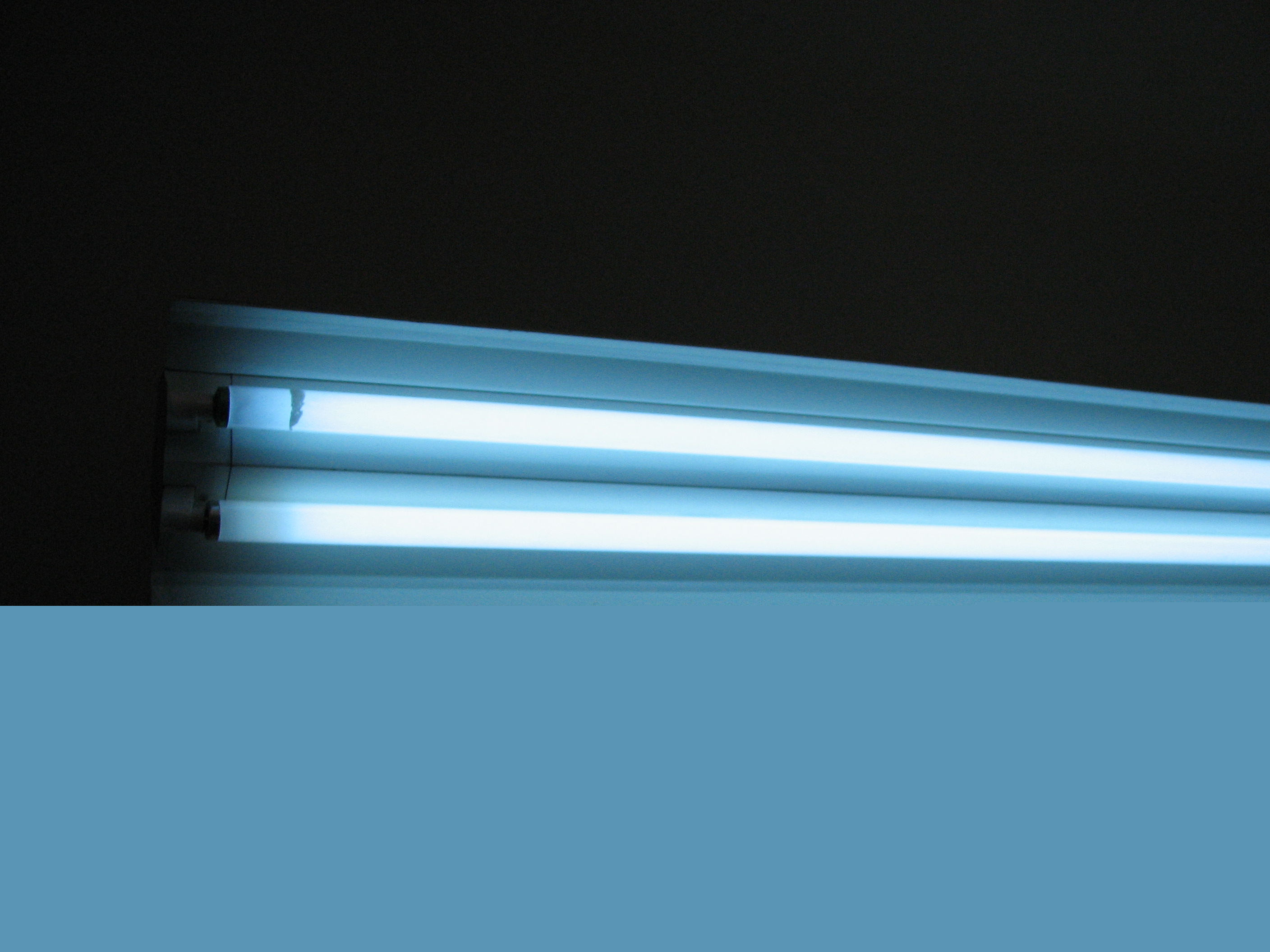 Fotografia de xel balam - Galeria Fotografica: ... - Foto: 