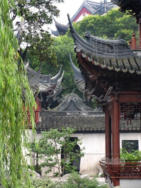 Fotografia de Phoenix Pictures - Galeria Fotografica: Viviendo China - Foto: Garden