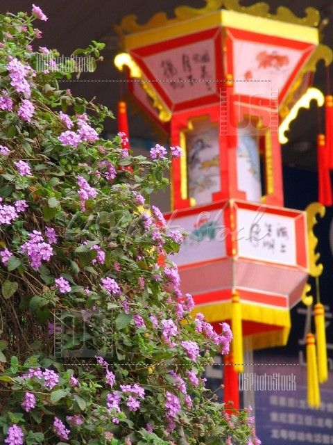 Fotografia de Phoenix Pictures - Galeria Fotografica: Viviendo China - Foto: Lanter