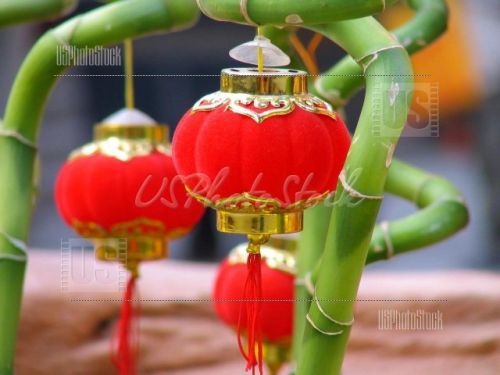 Fotografia de Phoenix Pictures - Galeria Fotografica: Viviendo China - Foto: Chinese New Year
