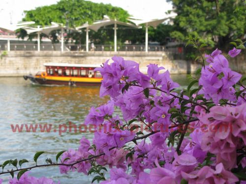 Fotografia de Phoenix Pictures - Galeria Fotografica: Paisajes de Asia - Foto: A ship at Singapore