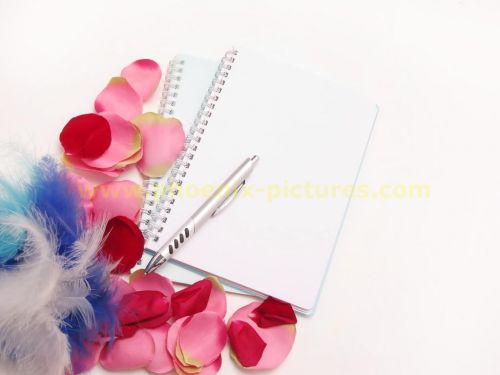 Fotografia de Phoenix Pictures - Galeria Fotografica: Comercial - Foto: Write it here