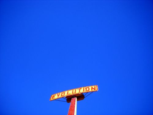 Fotografia de Emilia Seoane - Galeria Fotografica: Fun Colours - Foto: 