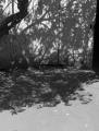 Foto de  karina - Galería: paisajes - Fotografía: sombras....