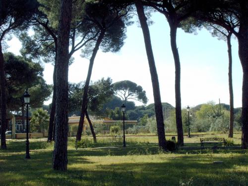 Fotografia de Franal - Galeria Fotografica: NATURALEZA VIVA - Foto: 