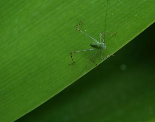 Fotografia de no - Galeria Fotografica: Macros - Foto: Al Borde