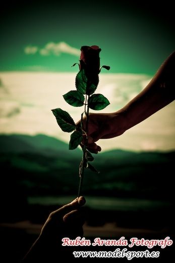Fotografia de Rubn Aranda Fotgrafo - Galeria Fotografica: Galeria 1 - Foto: 