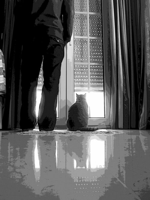 Fotografia de SuM - Galeria Fotografica: Autoretraros B&W - Foto: Ver.