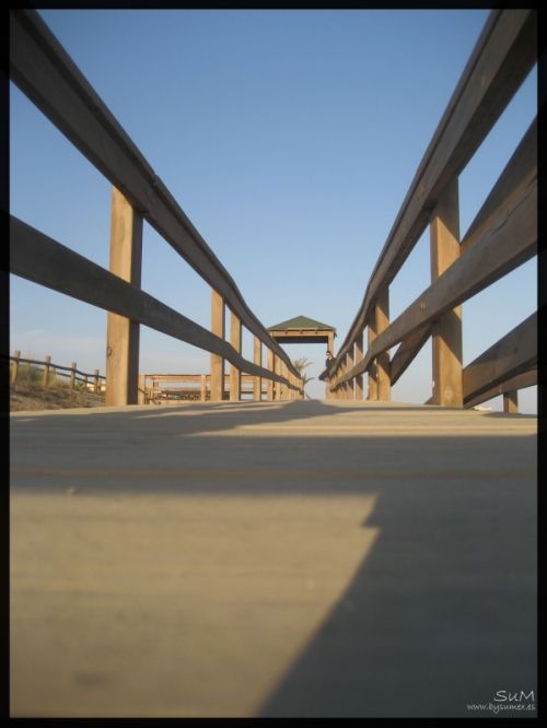 Fotografia de SuM - Galeria Fotografica: Reportaje Maria Jose y Carlos - Foto: 