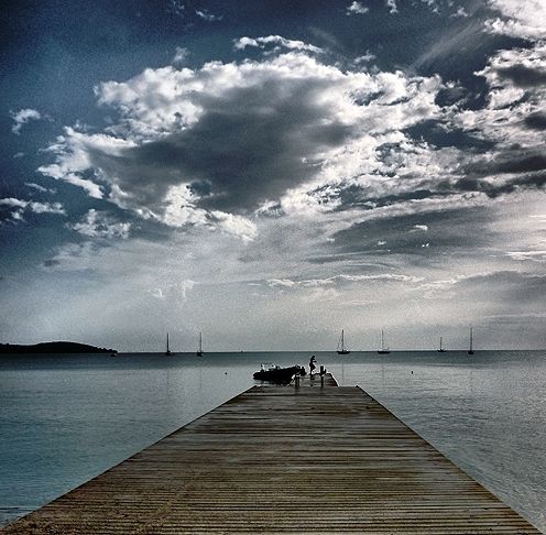 Fotografia de no - Galeria Fotografica: Macros - Foto: 