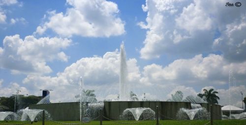 Fotografia de no - Galeria Fotografica: Macros - Foto: 