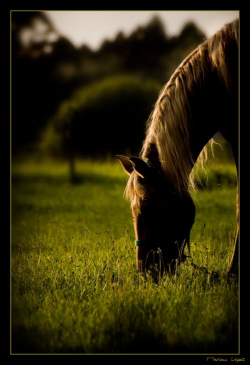 Fotografia de Marcos L.G - Galeria Fotografica: Imagenes - Foto: 