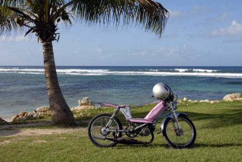 Fotografia de L'Oeil Du Sud - Galeria Fotografica: viajes en Guadeloupe - Foto: la mob