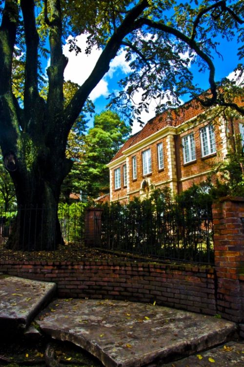 Fotografia de Monotone Pictures - Galeria Fotografica: Shoting Computer Art - Foto: 