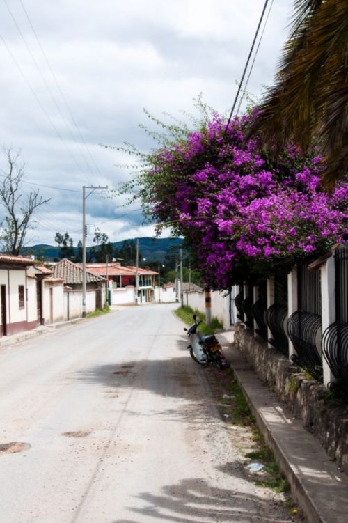 Fotografia de Monotone Pictures - Galeria Fotografica: Shoting Computer Art - Foto: 