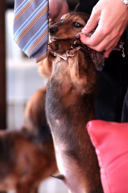 Fotografia de hernan escalona fotografo - Galeria Fotografica: NATURE - Foto: 