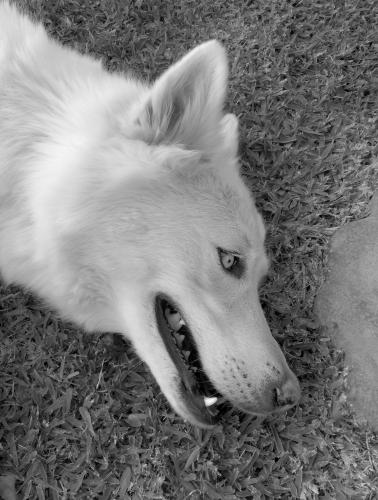 Fotografia de karina - Galeria Fotografica: algo de mi y de mi hermano - Foto: muffyn......