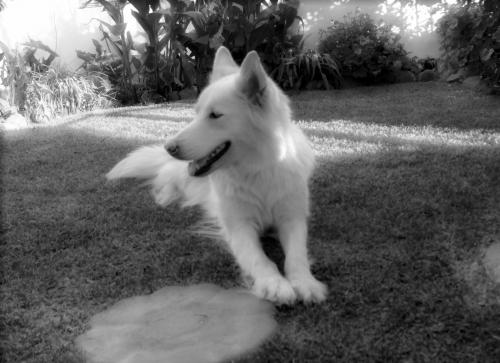 Fotografia de karina - Galeria Fotografica: algo de mi y de mi hermano - Foto: resplandor..........