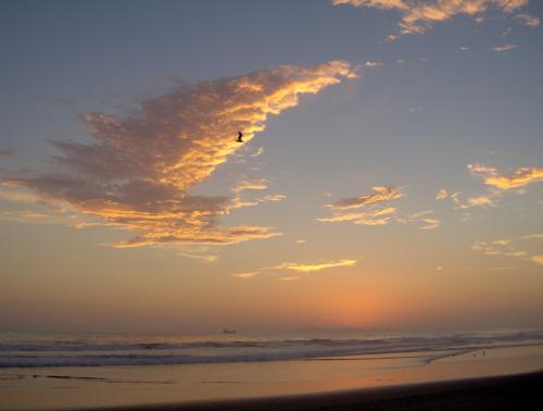 Fotografia de karina - Galeria Fotografica: naturaleza - Foto: ..................