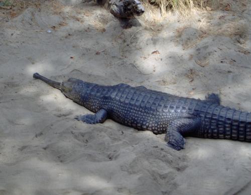 Fotografia de karina - Galeria Fotografica: algo de mi y de mi hermano - Foto: crock