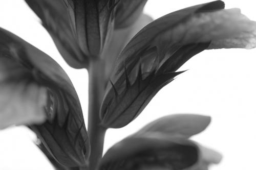 Fotografia de Ada - Galeria Fotografica: Cap de setmana a Siclia - Foto: 