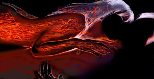 Fotografia de Sergio C. Spinelli - Galeria Fotografica: La Sonrisa del Angel - Foto: Un beso eterno