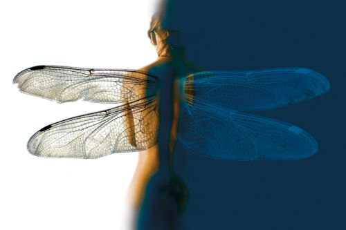 Fotografia de Sergio C. Spinelli - Galeria Fotografica: La Sonrisa del Angel - Foto: Liblula