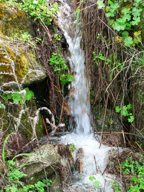 Fotografia de FOTO digitalhambra - Galeria Fotografica: Valle del Jerte - Foto: 