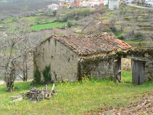 Fotografia de FOTO digitalhambra - Galeria Fotografica: Valle del Jerte - Foto: 