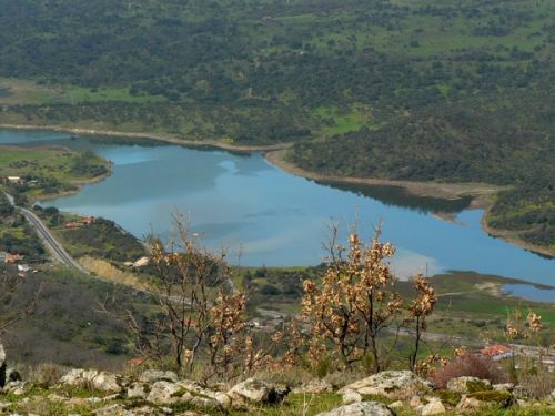 Fotografia de FOTO digitalhambra - Galeria Fotografica: Valle del Jerte - Foto: 